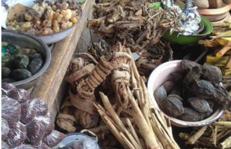 Rabo Zalissa : la tradipraticienne burkinabè qui dialogue avec les génies depuis plus de 30 ans